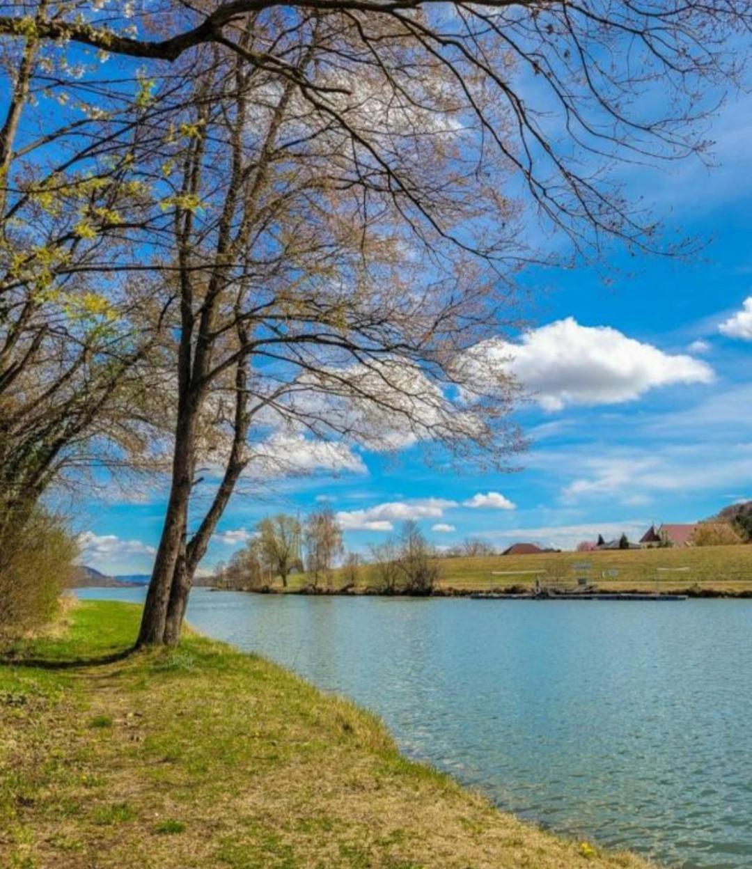 Apartment An Der Donau Krumnussbaum エクステリア 写真